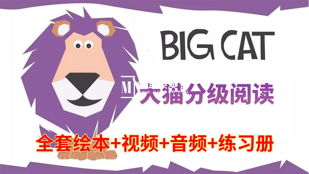 《Big Cat》大猫英语分级阅读全套476册绘本PDF+289集视频+配套音频+配套练习册，百度网盘下载！-E淘跨境