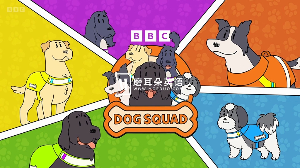 BBC寓教于乐儿童节目《Dog Squad》全1-3季共40集，了解不同类型工作犬，1080P高清视频带英文字幕，百度网盘下载！-E淘跨境